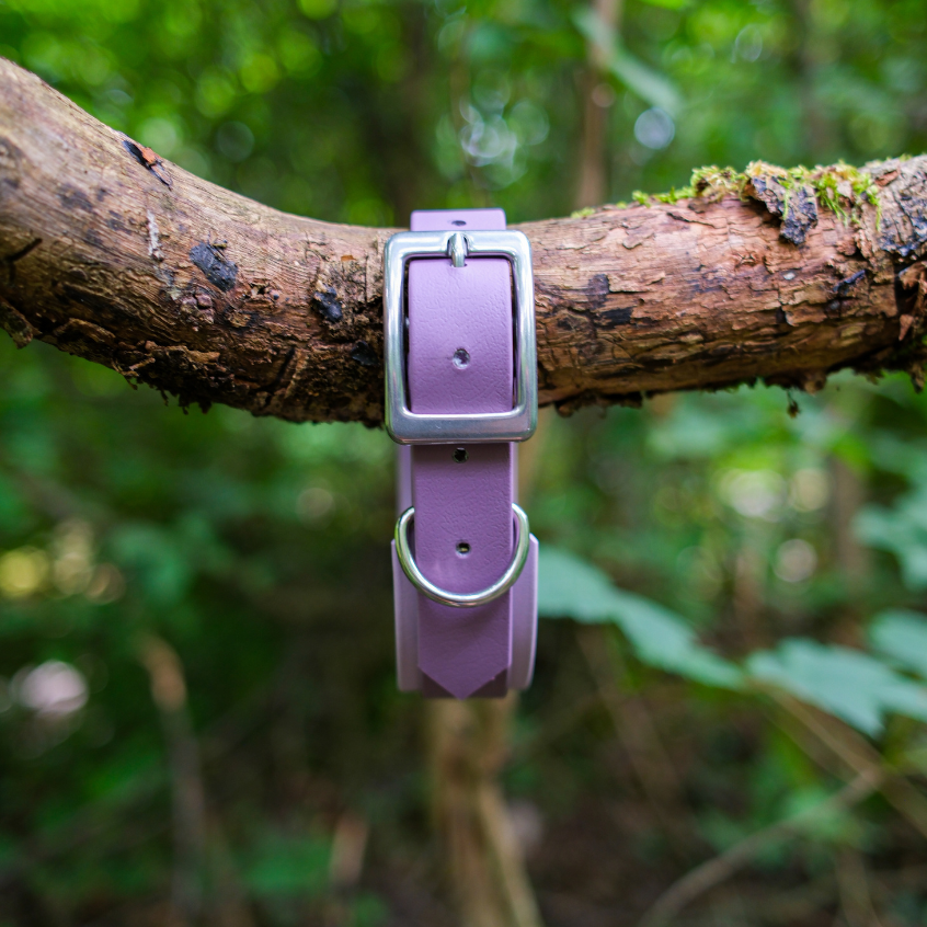 Collier Le Baroudeur - Signature