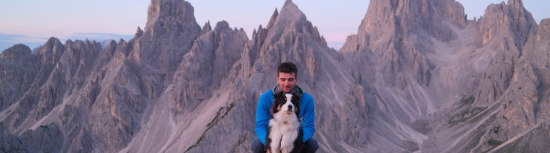 Collier pour chien sur mesure : la mesure exacte plutôt qu'une taille approchée
