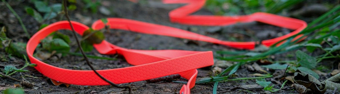 Longe en Biothane pour chien : quelle sangle choisir