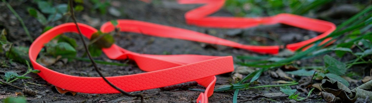 Longe en Biothane pour chien : quelle sangle choisir