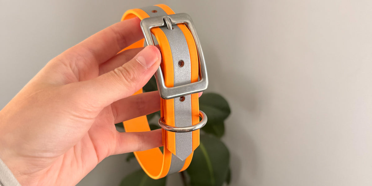 Collier réfléchissant pour chien en Biothane orange, bande réfléchissante et boucle inox, tenu en main