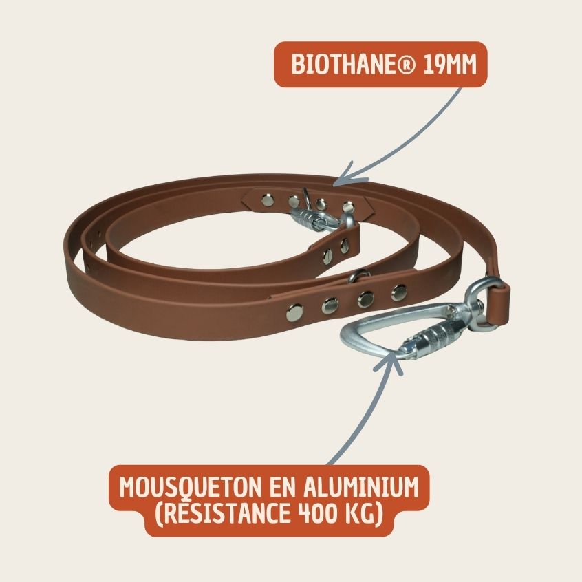 Laisse La Baroudeuse - multiposition, 3 longueurs