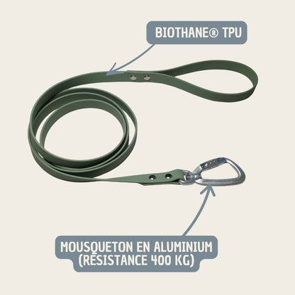 Laisse L'Essentiel - 1m80