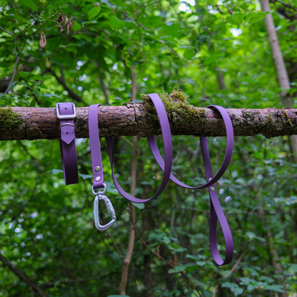 Pack Essentiel - Collier + Laisse