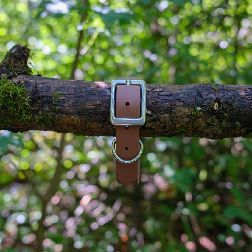 Collier l'Essentiel - 25 mm