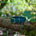 Collier l'Essentiel - 19 mm