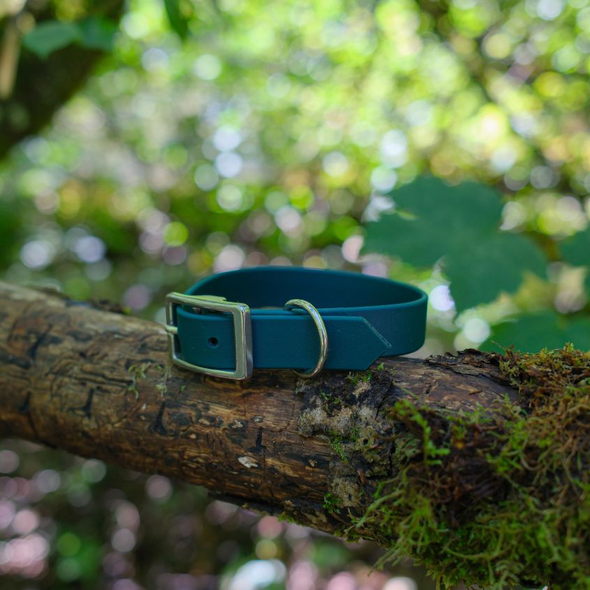 Collier l'Essentiel - 19 mm