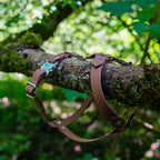 Harnais l'Explorateur - 19 mm