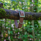 Collier l'Essentiel - 25 mm