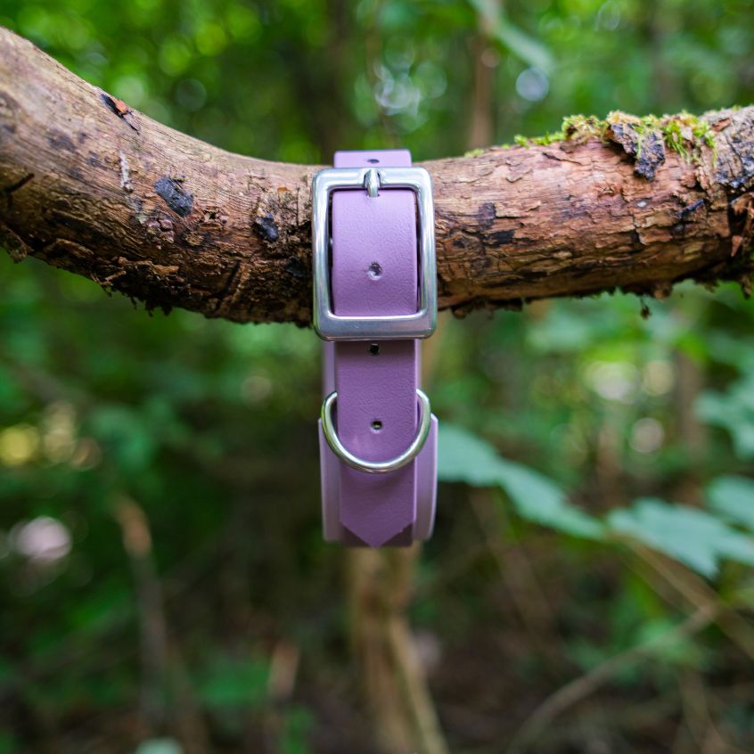 Collier Le Baroudeur - Bicolore