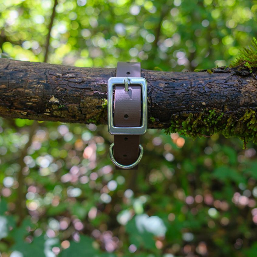 Collier l'Essentiel - 25 mm