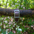 Collier l'Essentiel - 25 mm
