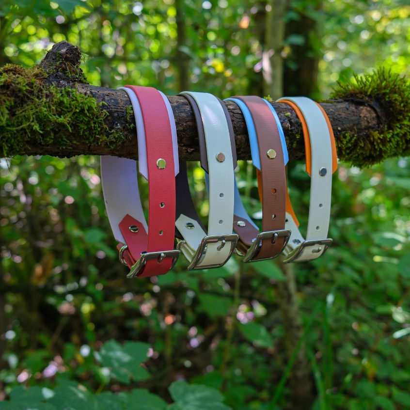 Collier Le Baroudeur - Bicolore