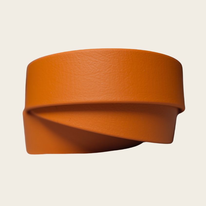 Laisse L'Essentiel - 1m80