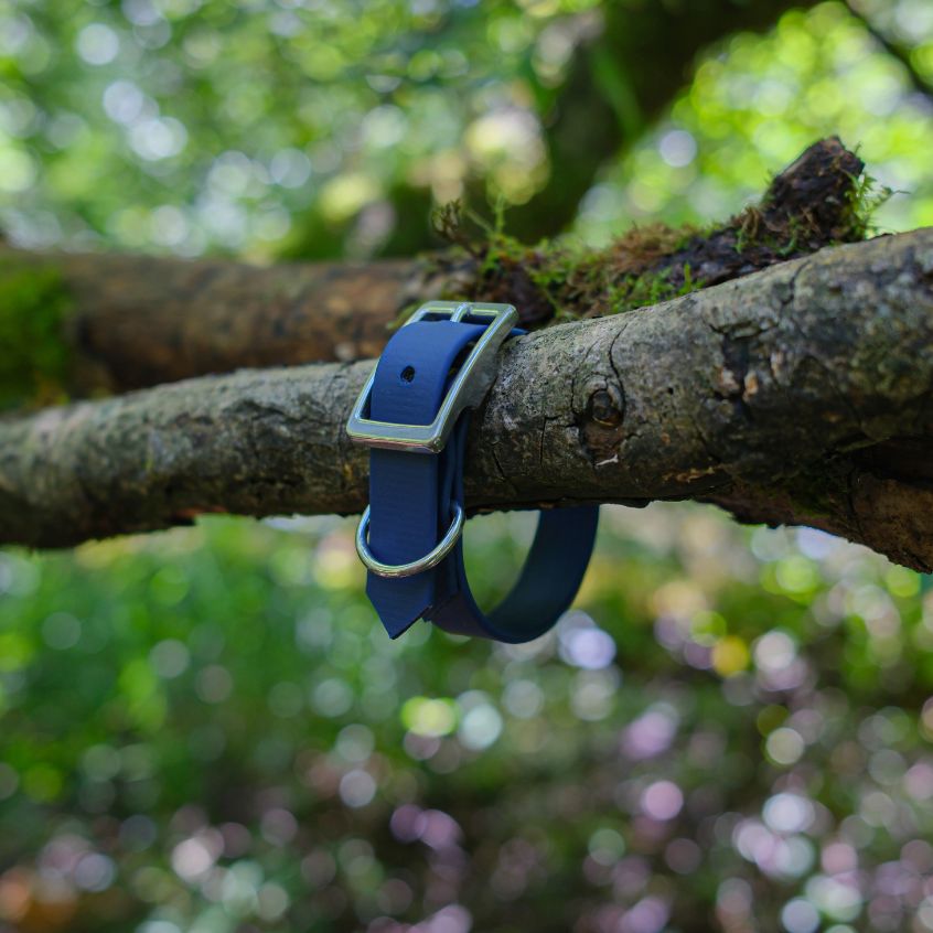 Collier l'Essentiel - 19 mm