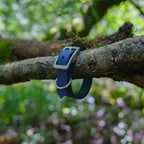 Collier l'Essentiel - 19 mm