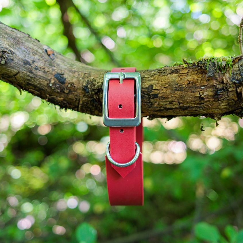 Collier le Baroudeur - 38 mm