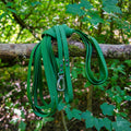 Longe l'Exploratrice - 5m