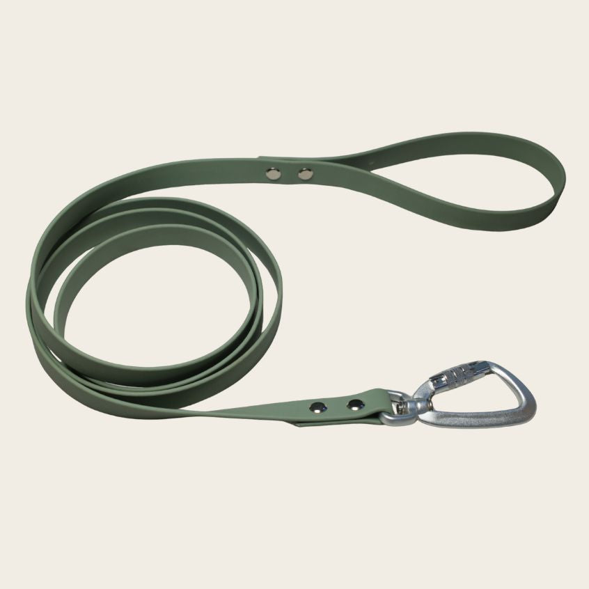 Laisse L'Essentiel - 1m80