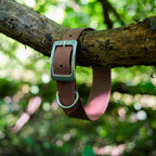 Collier le Baroudeur - 38 mm