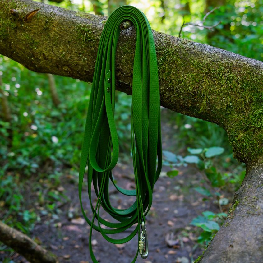 Longe l'Exploratrice - 10m