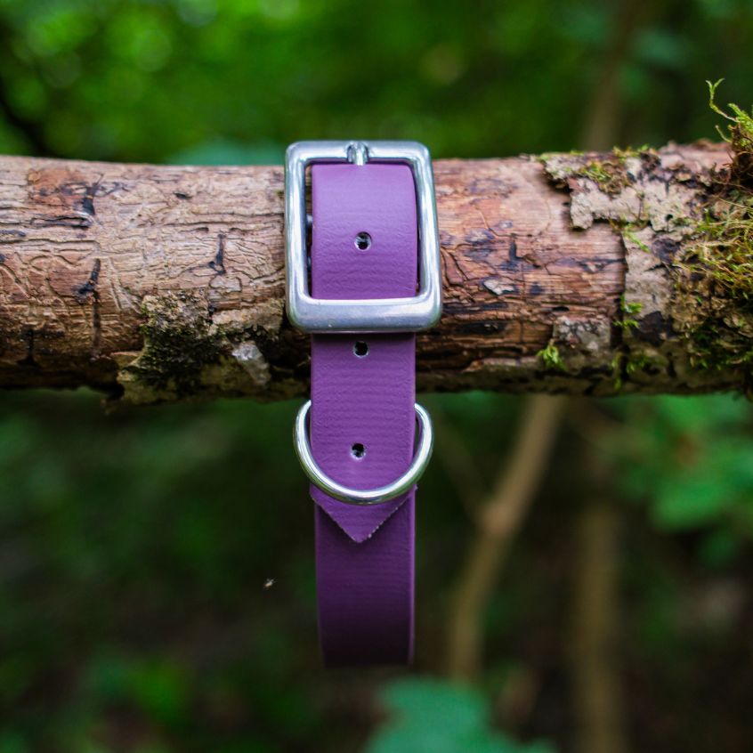 Collier l'Essentiel - 25 mm