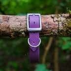 Collier l'Essentiel - 25 mm