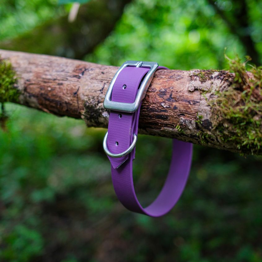 Collier l'Essentiel - 25 mm