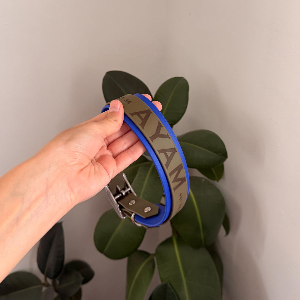 Collier Le Baroudeur Bicolore 38 mm en Biothane kaki et bleu électrique, prénom gravé, tenu à la main