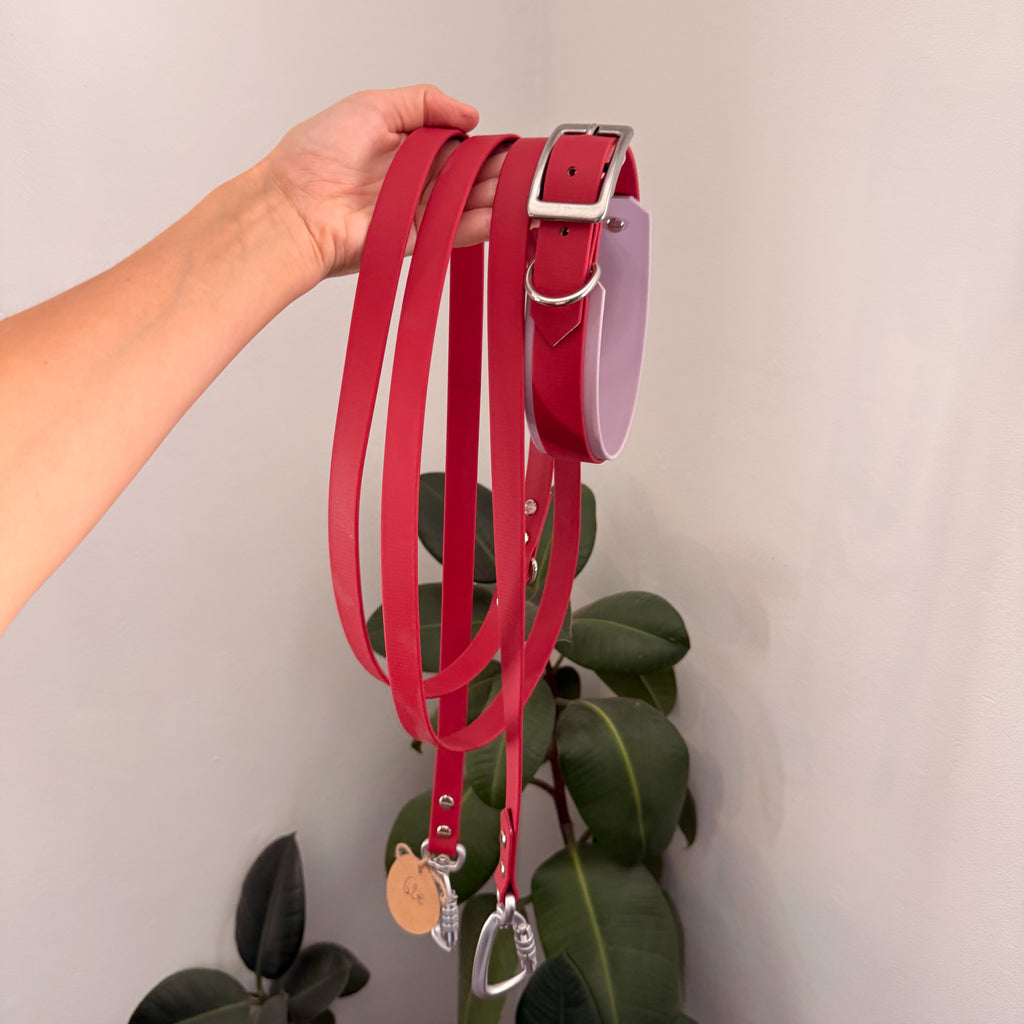 Collier Le Baroudeur Bicolore 38 mm en Biothane rouge et lilas avec son porte-médaille, tenu à la main