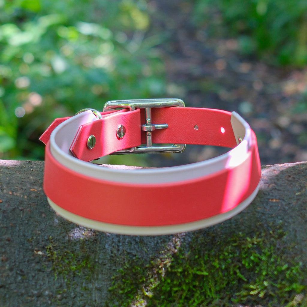 Collier chien bicolore 38 mm en Biothane rouge et rose, boucle inox, posé sur une pierre moussue