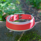 Collier chien bicolore 38 mm en Biothane rouge et rose, boucle inox, posé sur une pierre moussue
