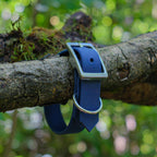 Collier pour chien Biothane 19 mm bleu, boucle et anneau en inox, gros plan en forêt