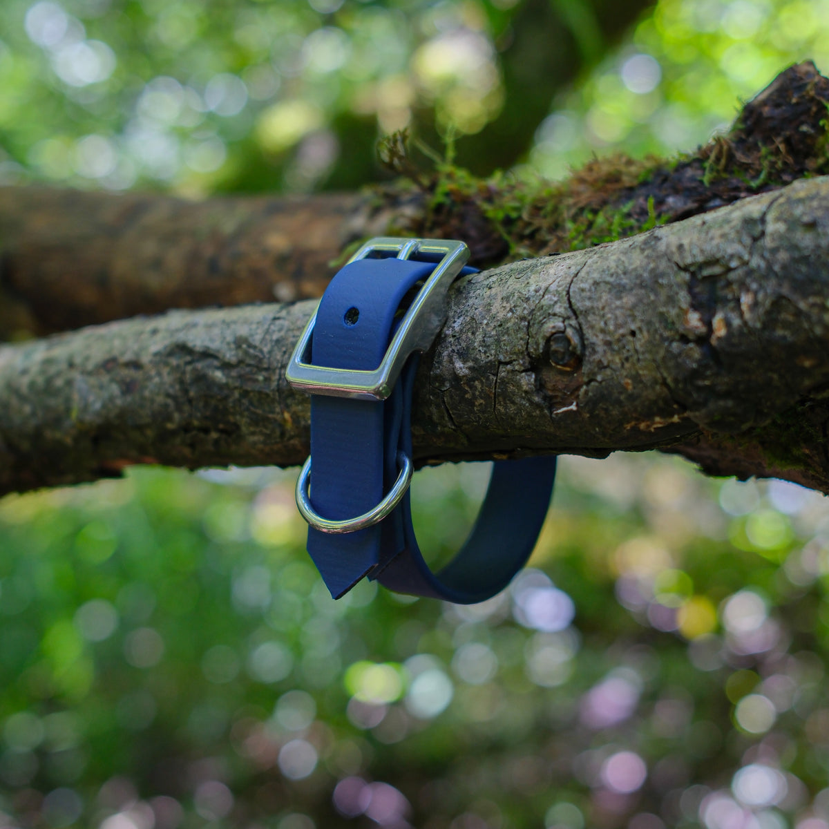 Collier pour chien Biothane 19 mm bleu marine, détail de la boucle et de l'anneau inox