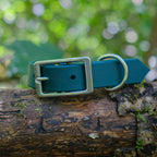 Collier pour chien en Biothane 19 mm bleu suspendu à une branche, sous-bois en arrière-plan