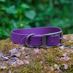 Collier pour chien en Biothane 25 mm violet fermé, boucle et anneau en inox, sur une souche