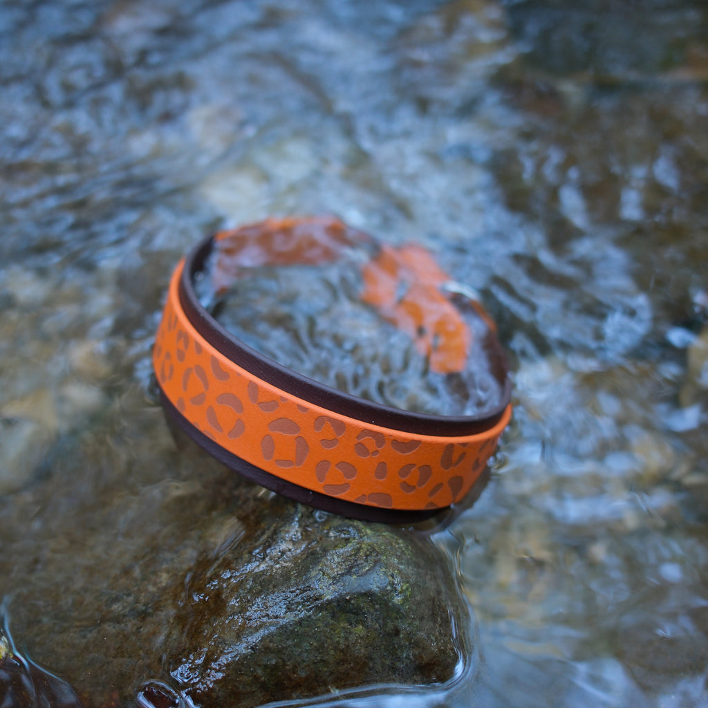 Collier pour chien gravé motif léopard, sangle orange sur sangle marron foncé, posé sur un rocher dans une rivière