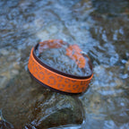 Collier pour chien gravé motif léopard, sangle orange sur sangle marron foncé, posé sur un rocher dans une rivière