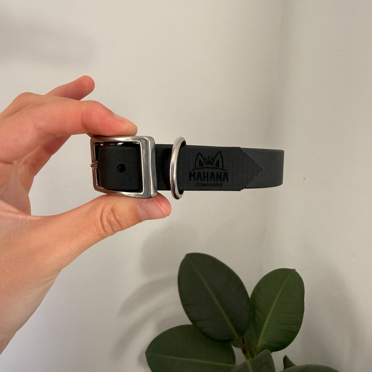Gros plan d'un collier l'Essentiel 19 mm en Biothane noir, boucle et anneau en inox, logo MAHANA gravé sur la sangle