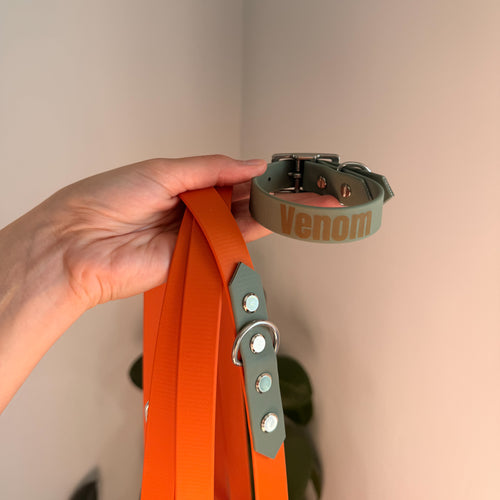 Collier l'Essentiel 19mm en Biothane sauge, prénom gravé sur la sangle, tenu à la main avec un harnais orange et sauge