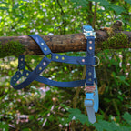 Harnais pour chien Biothane 25 mm bleu marine sur une branche moussue en forêt