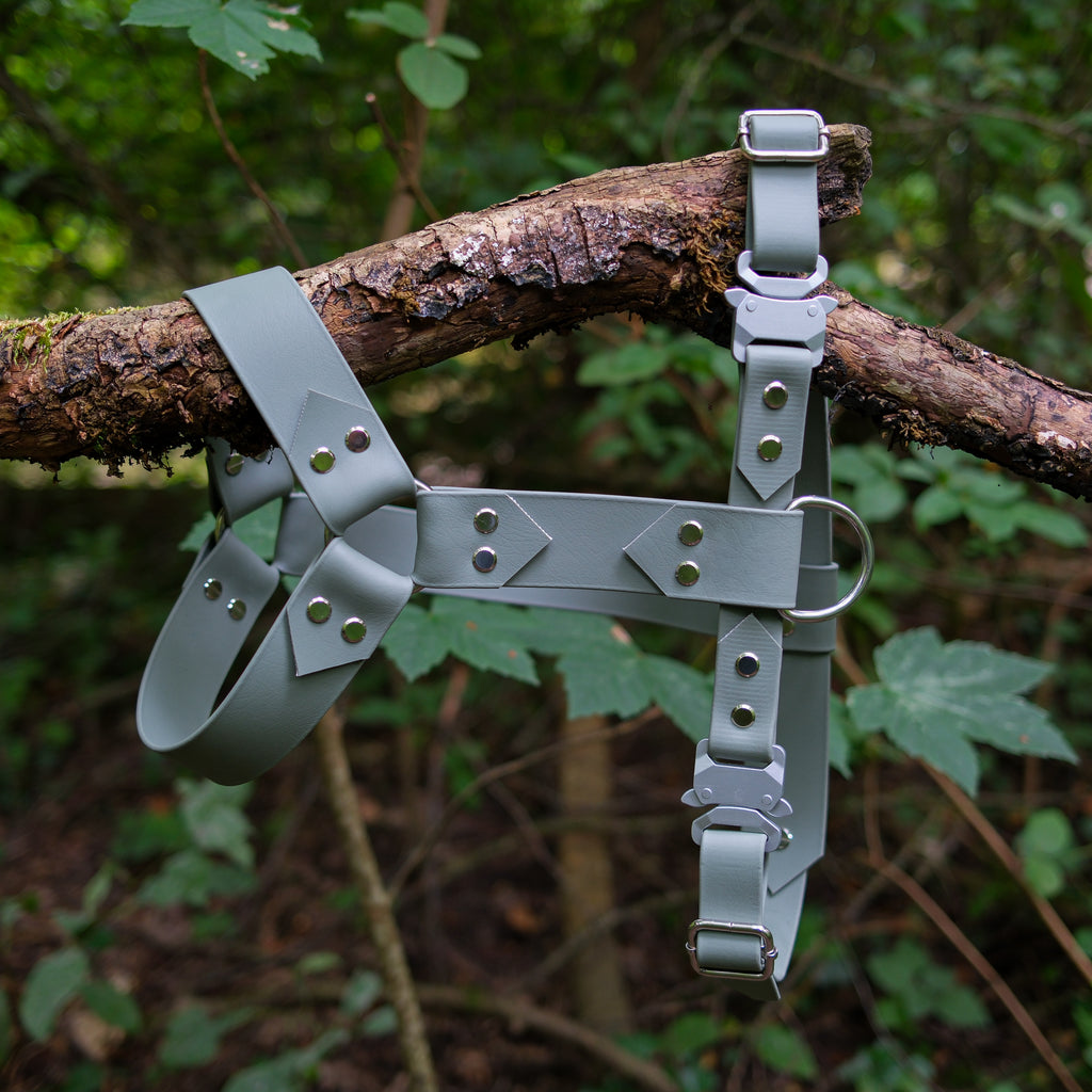 Harnais pour chien en Biothane vert sauge, boucles aluminium et anneau inox, suspendu à une branche