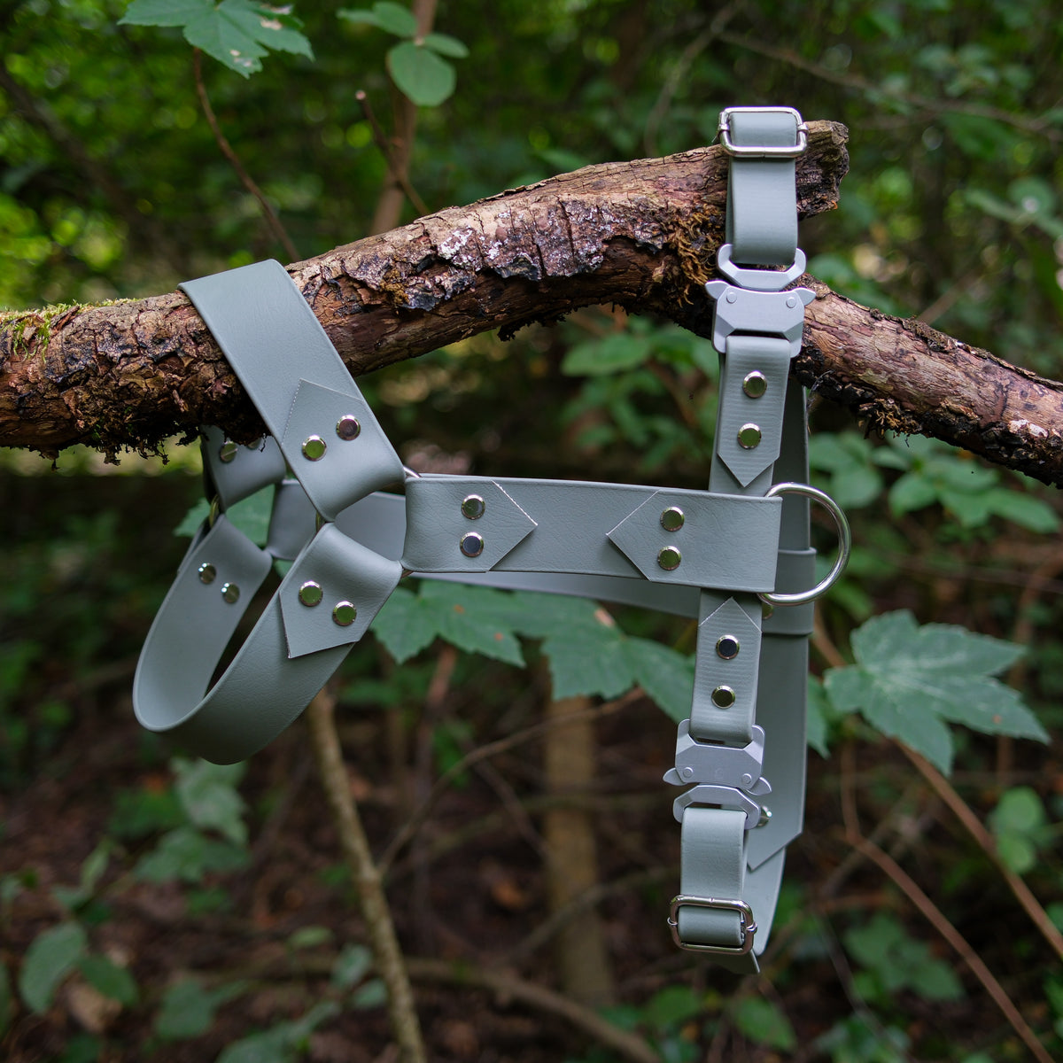 Harnais pour chien en Biothane vert sauge, boucles aluminium et anneau inox, suspendu à une branche