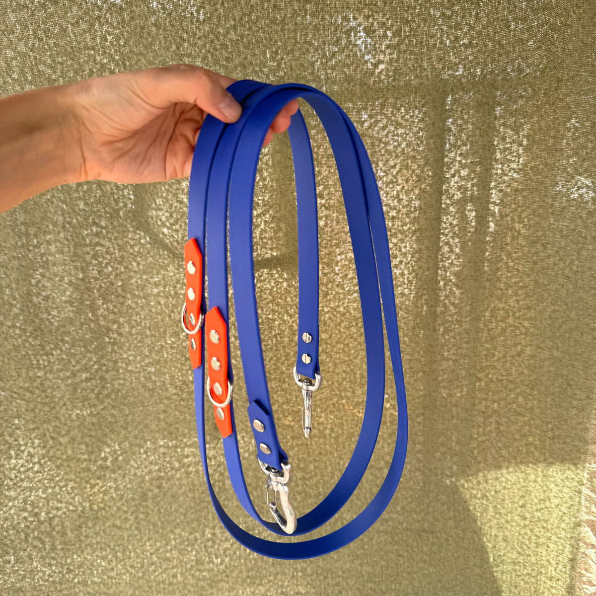 Laisse La Baroudeuse 2m30 en Biothane bleu électrique avec rappel orange Balise, deux mousquetons, tenue à la main