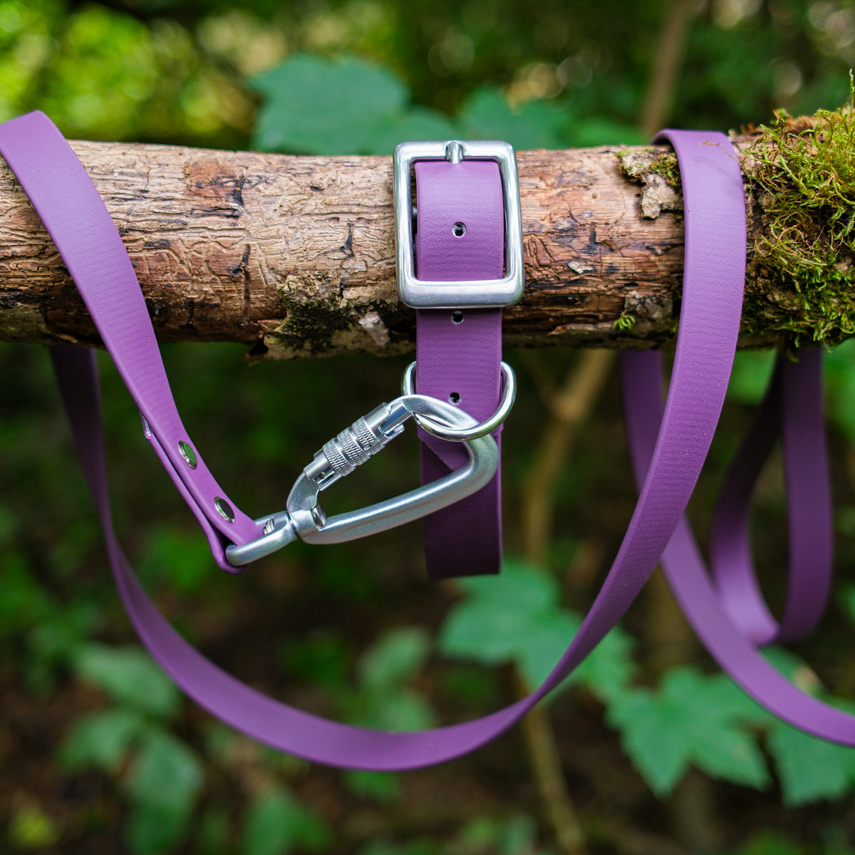 Laisse pour chien en Biothane violet, mousqueton à verrouillage en aluminium et rivets inox