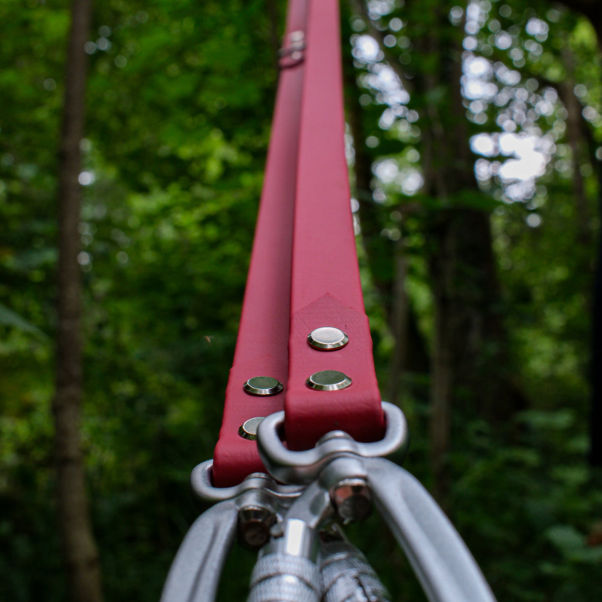 Laisse multiposition pour chien en Biothane framboise, anneaux de réglage et mousqueton aluminium