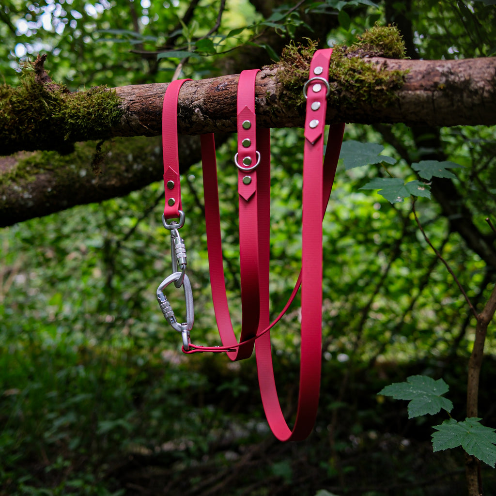 Laisse multiposition pour chien en Biothane marron 2m30, deux mousqueton en aluminium, en forêt