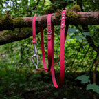 Laisse multiposition pour chien en Biothane marron 2m30, deux mousqueton en aluminium, en forêt