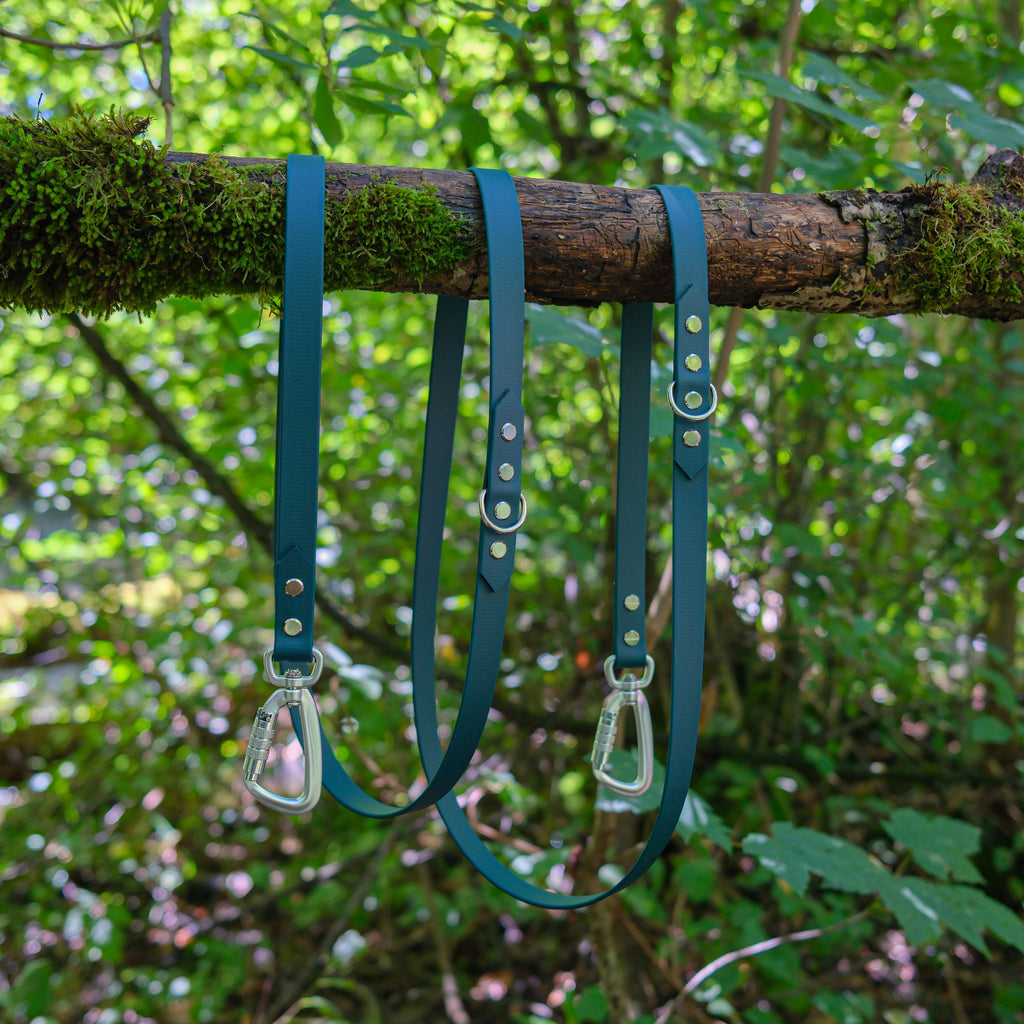 Laisse multiposition pour chien en Biothane vert sapin avec anneaux de réglage inox en forêt