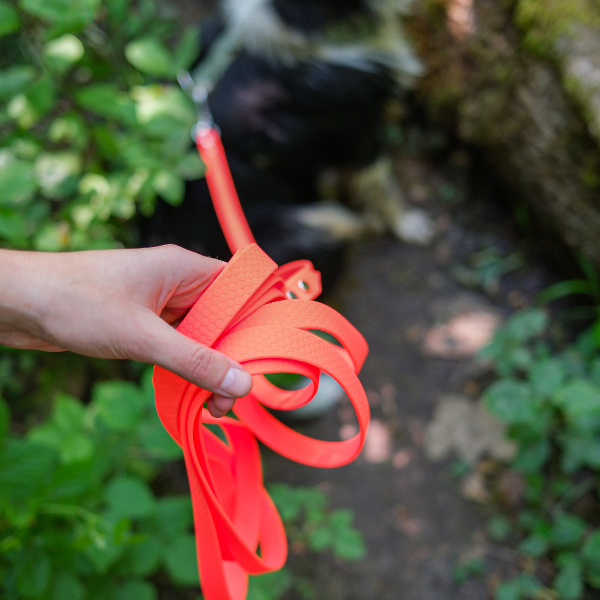 Longe pour chien en Hexa orange tenue en main, prise en main sur le motif hexagonal